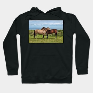 The Lundy Ponies Hoodie